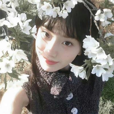全职法师第六季